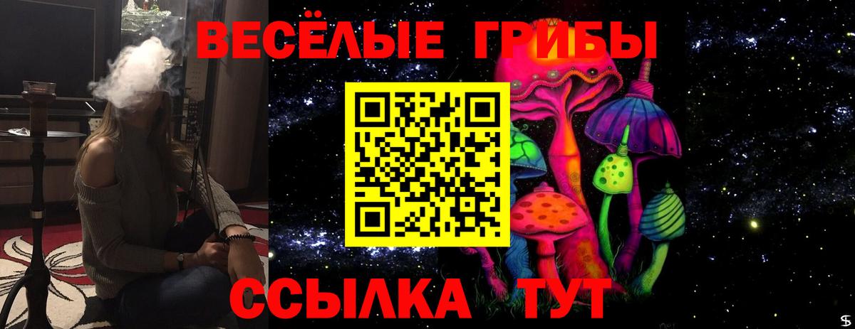 Галлюциногенные грибы мицелий  Вход с VPN  Кисловодск 